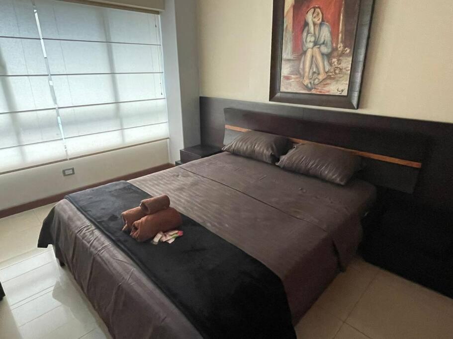 Suite 211 基多 外观 照片